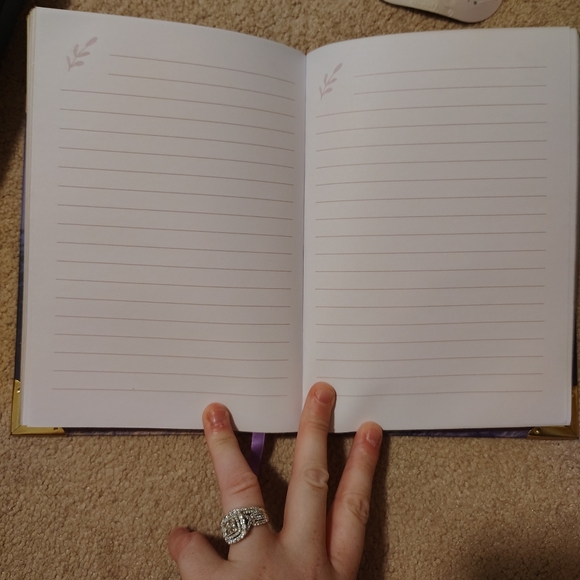 You are the light of the world journal sunset beautiful gold corners - Picture 3 of 3